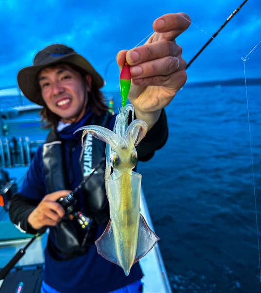 Squish Kalamar Zokası 7-2 008