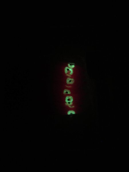 Eurofish Ahtapot Silikon 9 Cm 10lu 08