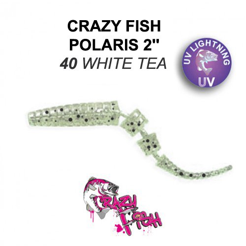 CRAZY FISH POLARIS 2 / 54 MM / COLOR: 40 WHITE TEA