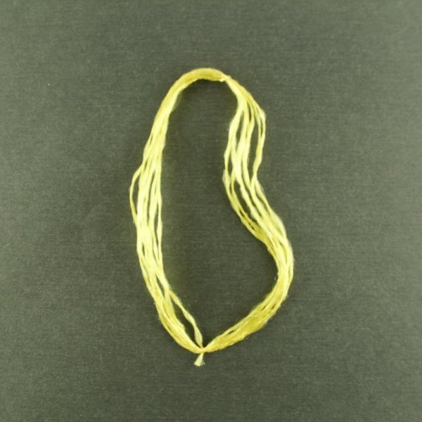 Eurofish Zargana İpeği Sarı