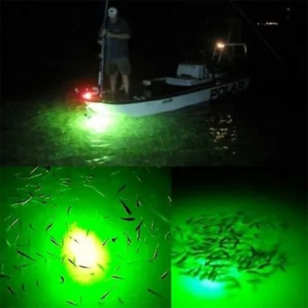 Captain 7653 Deep Light Fishing - Canlı Yem Avı İçin Işık