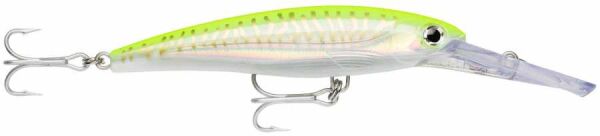 Rapala X-Rap Magnum Sahte Balığı HCHU - 160MM