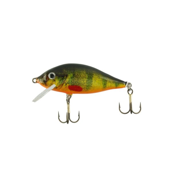Jaxon H.S Karas 5,5 Cm 6 Gr Fom