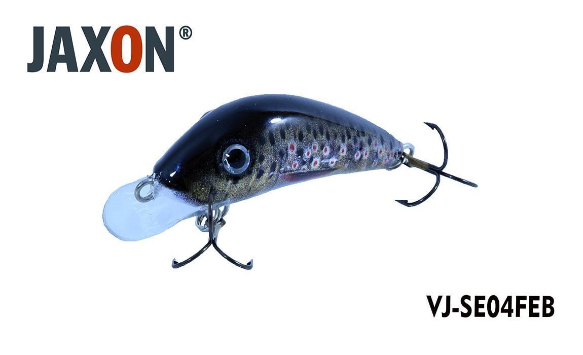 Jaxon H.S Senso 4 F Eb