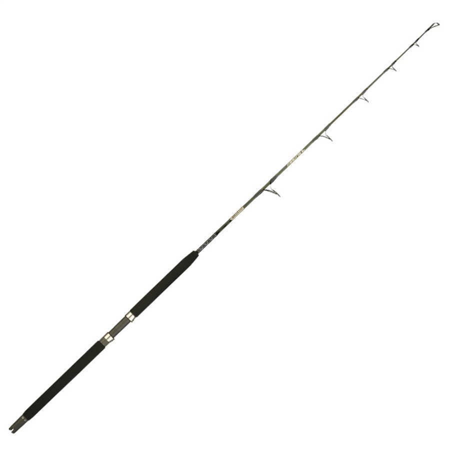 ITALCANNA JIGGING 1.96MT 30/50LBS
