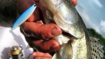 SV-KOKETKA / SB04-2G 25MM KAŞIK