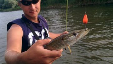 SV-KOKETKA / SB04-2G 25MM KAŞIK