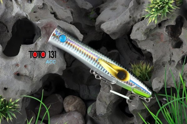 Toto 131 36 Gr ACC