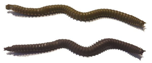 Fladen Vermz Kum Solucanı 9.5 cm 15P 02