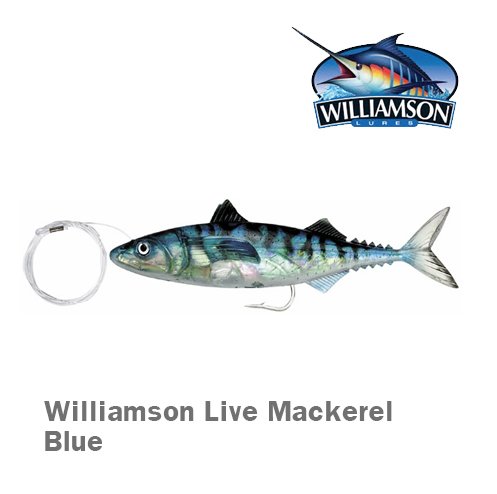 WİLLİAMSON LİVE MACKEREL [CANLI USKUMRU] / BLUE