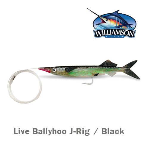WİLLİAMSON LİVE BALLYHOO 9 / J RİG / BLACK