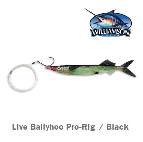 WILLIAMSON LIVE BALLYHOO 9 / PRO - RIG / BLACK