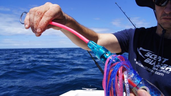 SCENT BLAZER TLMD2-01-30cm PINK MACKEREL