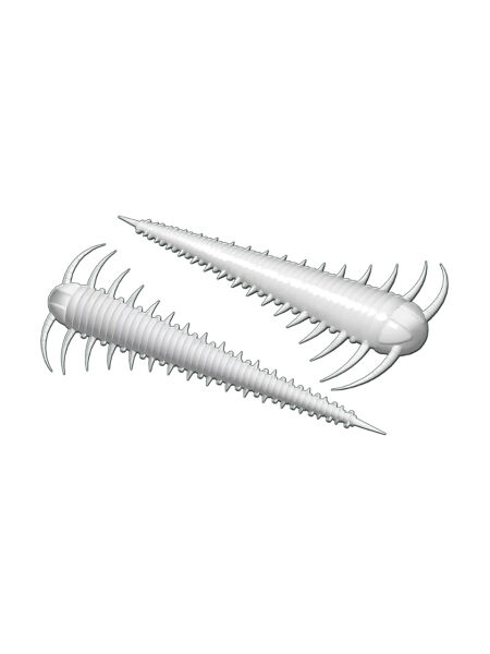 Libra Lures Slayzur Suni Yem WHITE CHEESE 001 - 55MM