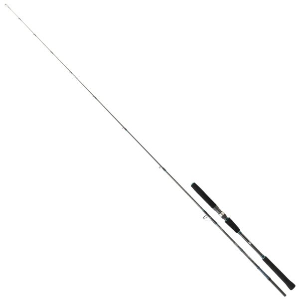 Daiwa Saltist Jigging II 188cm 60-180gr Bait Casting Olta Kamışı