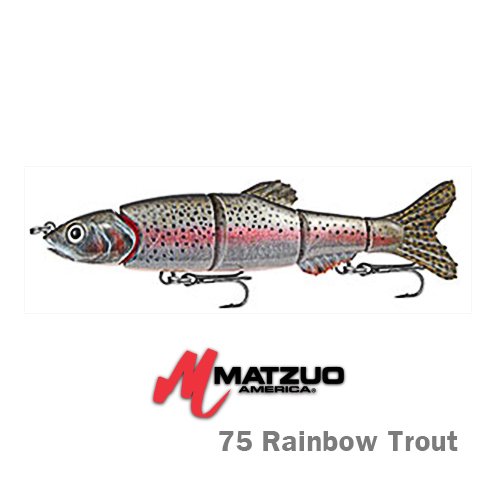 DORAGON MINNOW4 - 75 RAINBOW TROUT