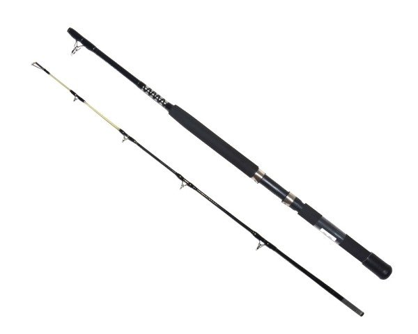 Captain 1434 Morfose Boat 2 Parça Tekne Kamışı 15lbs Atar
