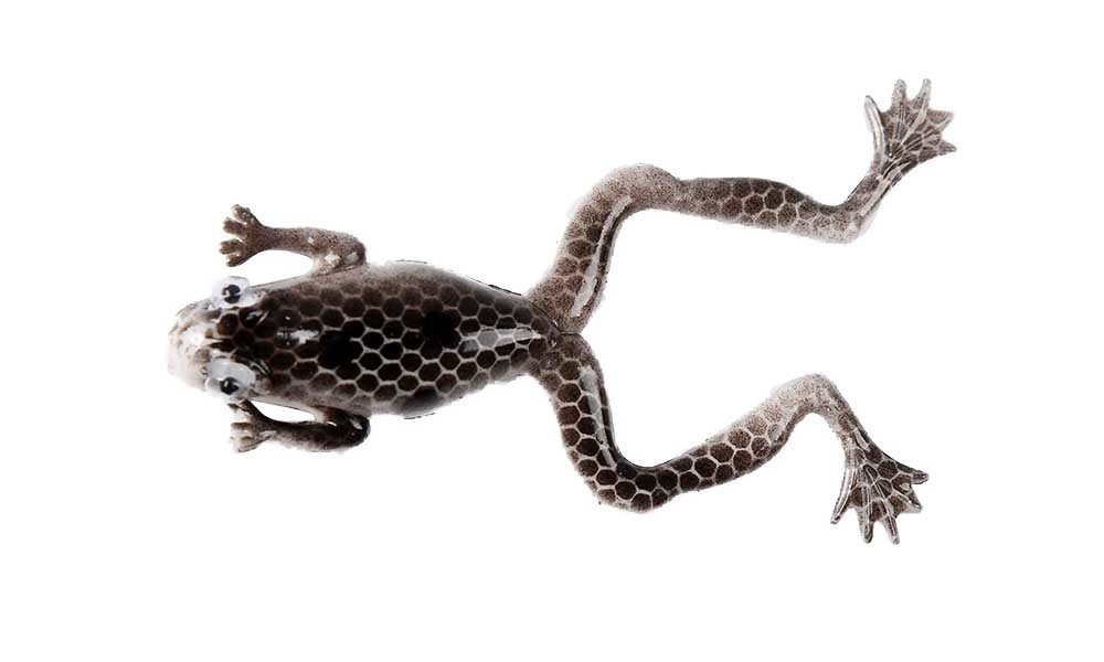 Mutant 3599 Killer Frog 6cm 3'lü Silikon Kurbağa Suni Yem B03