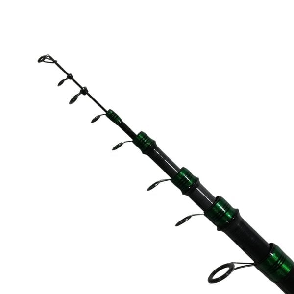 Carpine Olta Kamışı 600 cm