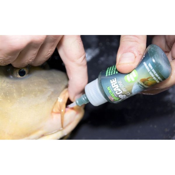 Korda Carp Care All-İn-One