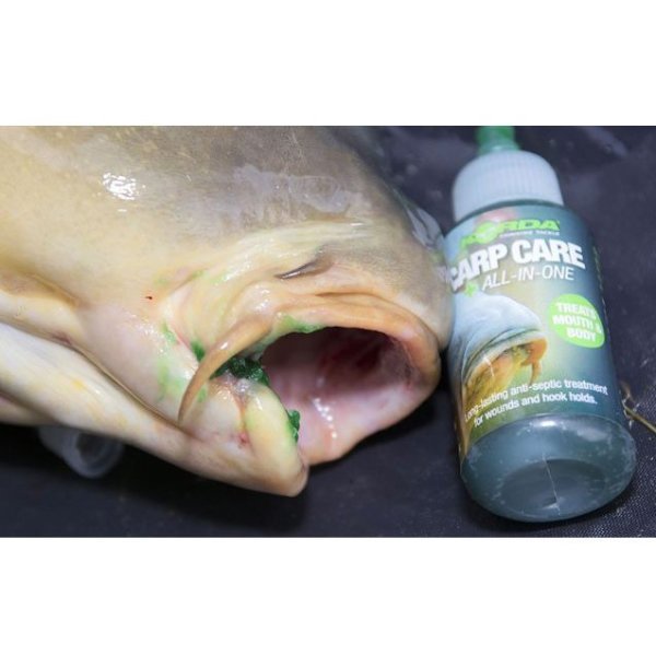Korda Carp Care All-İn-One
