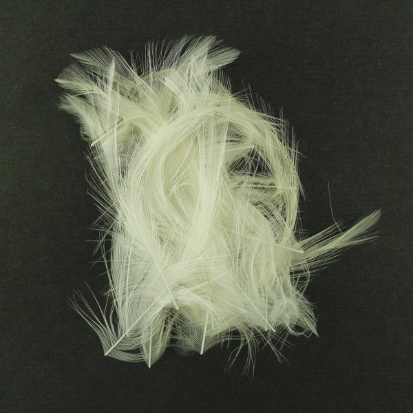 İthal Tüy Uzun - Beyaz