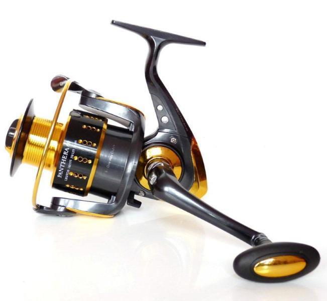 Silver Star Panthera Boy: 60