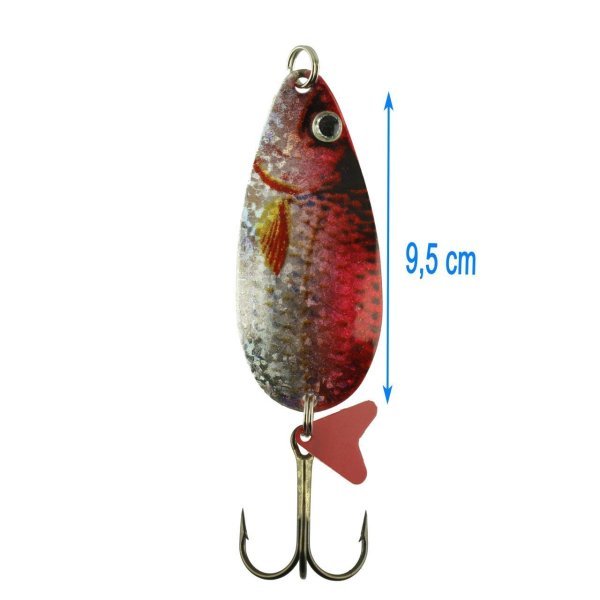 Jaxon H.S Karas Scot #2 18 Gr R