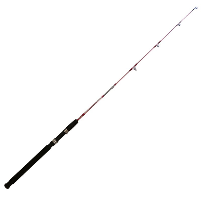 PINOREX PEGASUS 2.70MT 100-200G 2 PARÇA TEKNE KAMIŞI