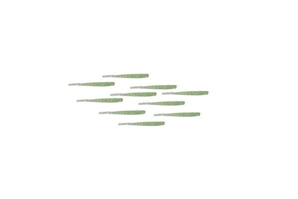 Mutant 3512 Escapee 5cm Aromalı LRF Silikon Suni Yem 10'lu Paket