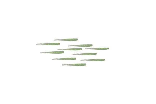 Mutant 3512 Escapee 5cm Aromalı LRF Silikon Suni Yem 10'lu Paket 307