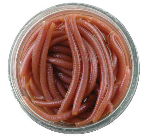 Berkley Gulp Alive Angle Worm Sahte Kurt