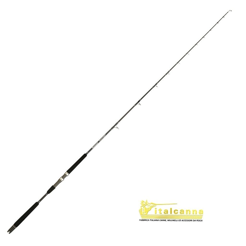 ITALCANNA DOWNRIGGER 1.98 MT 20/40 LBS