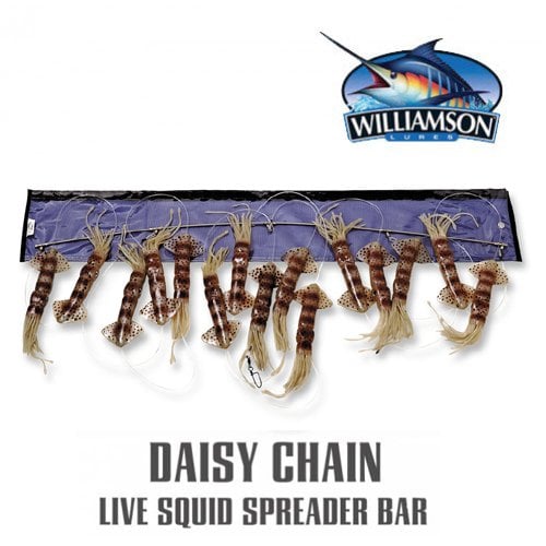 WILLIAMSON LIVE SQUID SPREADER BAR NATURAL