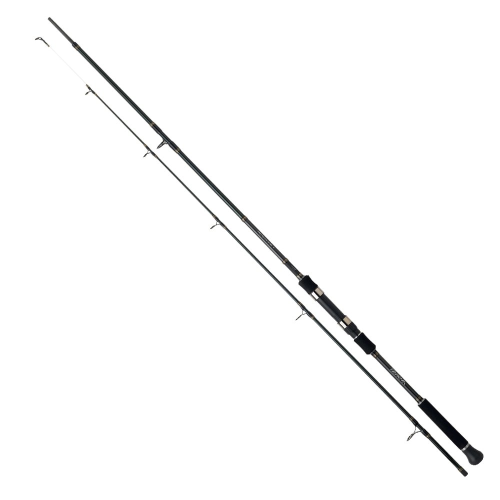 Daiwa Grandwave 2.90M 28-84gr 2P Shore Jig Olta Kamışı