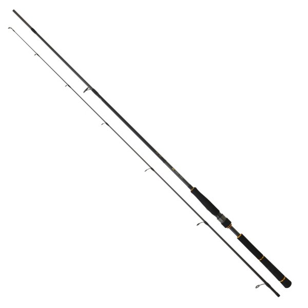 Daiwa Bg Seabass 2.44m, 14-42gr 2p Spin Olta Kamışı