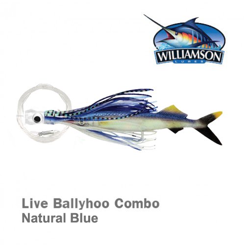 WILLIAMSON LİVE BALLYHOO COMBO 10 / NATURAL BLUE