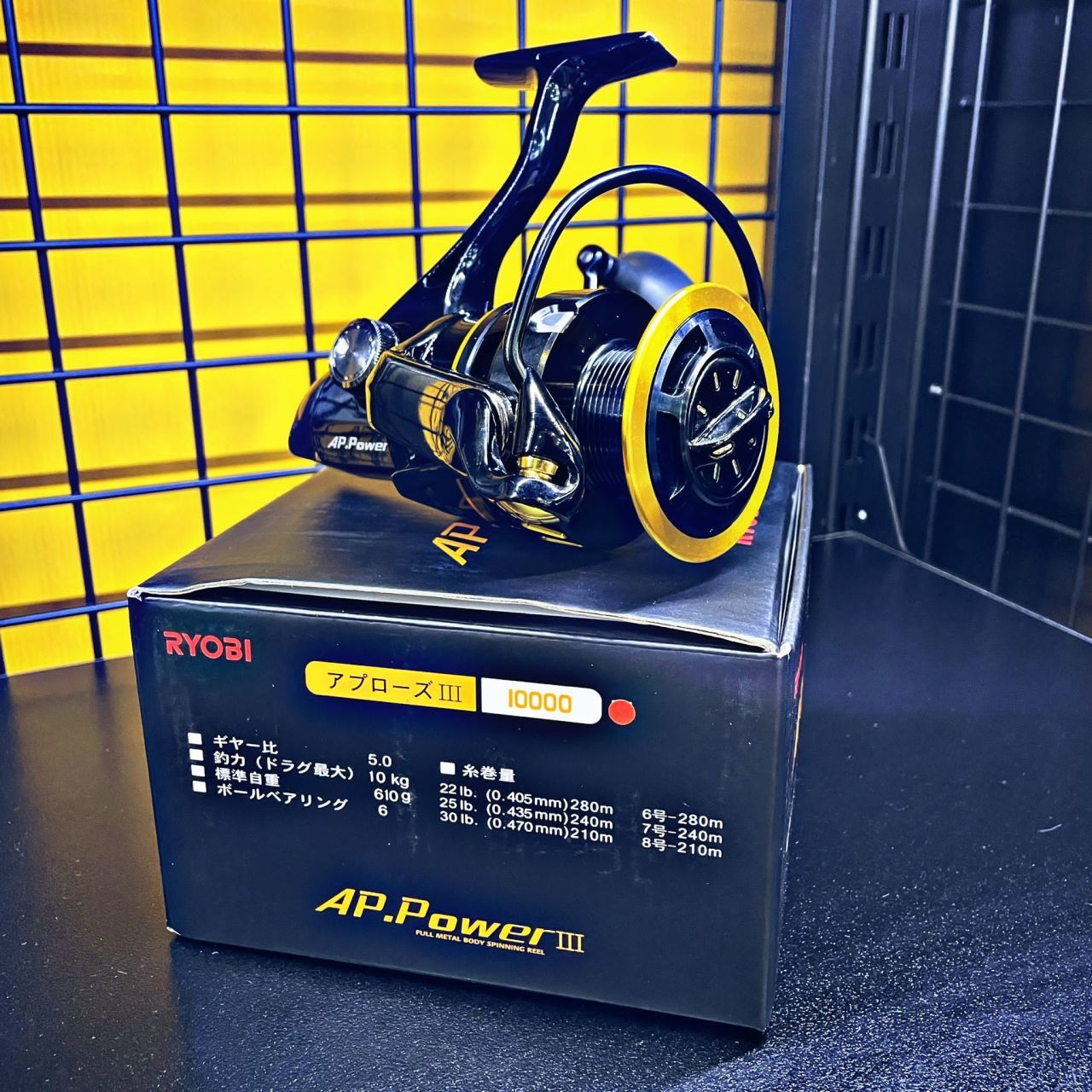 Ryobi Ap. Power-III 10000
