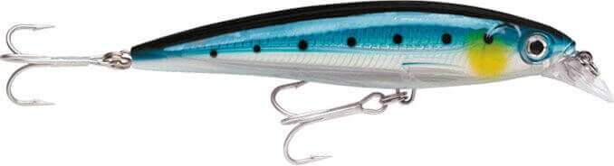 Rapala X-Rap Saltwater Sahte Balığı BSRD - 120MM