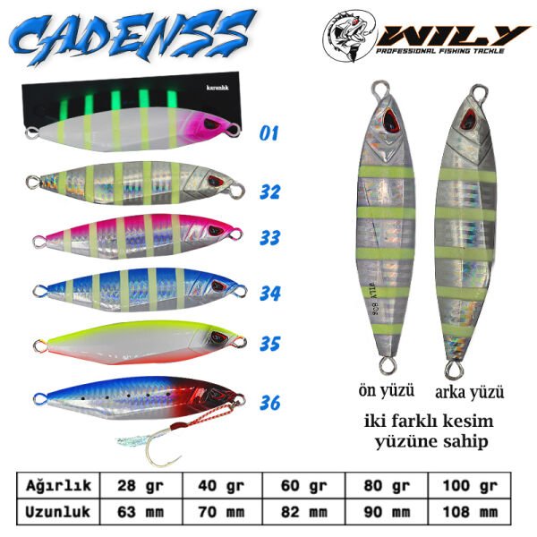 Wily Cadenss Jig 100 gr 108 mm 01