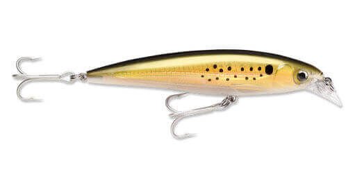 Rapala X-Rap Saltwater Sahte Balığı BNK - 100MM