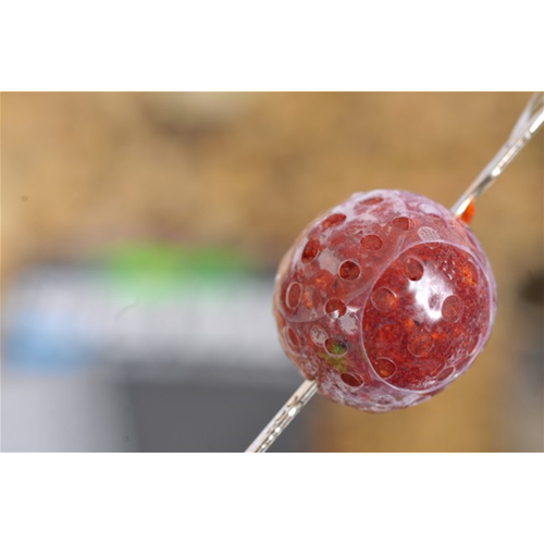 Korda Süper Wrap 12 Mm