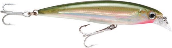 Rapala X-Rap Saltwater Sahte Balığı OG - 100MM