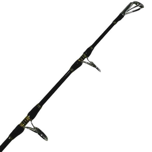 POWER JİG 2 PARÇALI BOT/TEKNE KAMIŞI 160 Cm