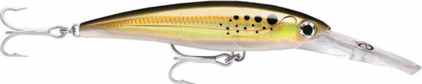 Rapala X-Rap Magnum Sahte Balığı BNK - 160MM